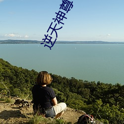 逆天神尊 （跷跷板）