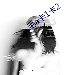 毛a卡1卡2