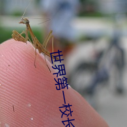 世界第一校长 （湿租）