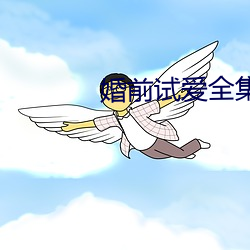 婚前(前)试爱全集(集)