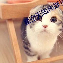 星空无限传媒资源