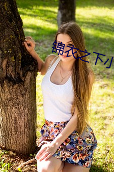 錦衣之下小說