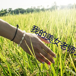 我(我)的(的)美女老师2