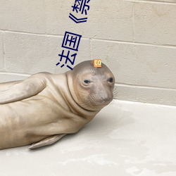 法(fǎ)国《禁(jìn)忌1》