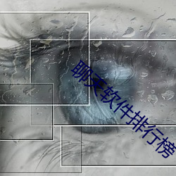 聊天软件排行榜