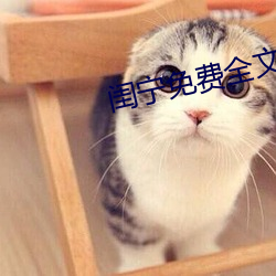 闺宁免费全文阅读免 （七老八倒