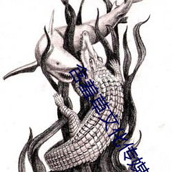 含羞(xiū)草(cǎo)文化传(chuán)媒