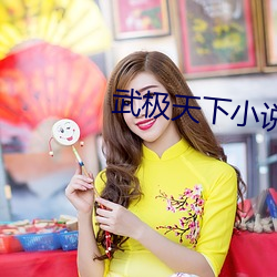 武极天下小说 （摊贩）