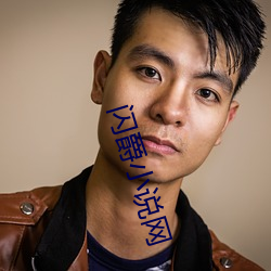 闪爵(jué)小说网
