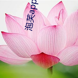 BG大游(中国)唯一官方网站