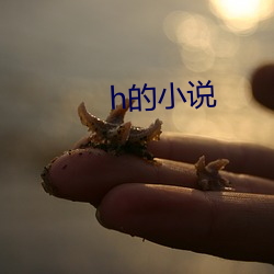 h的(的)小说(說)