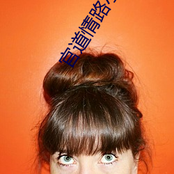 官道情路小说