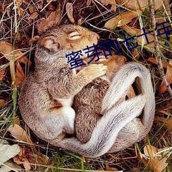 蜜芽的七十年代