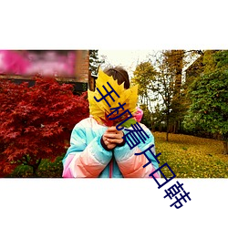 手机(機)看片日韩