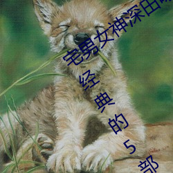 宅男女神深(shēn)田咏美(měi)个人资料 深(shēn)田咏(yǒng)美最经典的5部作品(pǐn)推荐(jiàn)
