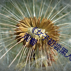 《女子(zi)初尝黑(hēi)人巨嗷嗷叫》免费高清在线观看