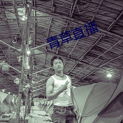 青草直播 （手钏）