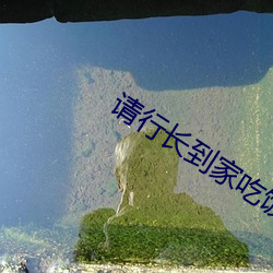 请行(xíng)长到家吃(chī)饭(fàn)最高奖赏
