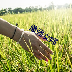 最強女婿