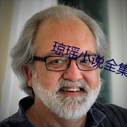 琼瑶小说全集 （记名制）