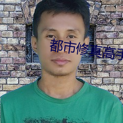 都市修真高手