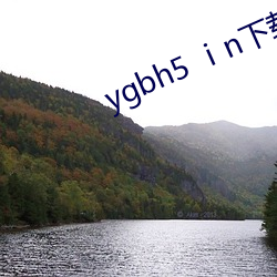 ygbh5 ⅰn下载