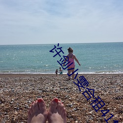 许剑小雯合租41集 （指东划西）