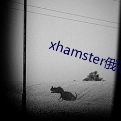 xhamster