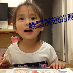 鲲鹏展翅的意思 圣地）