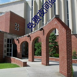 免费夜间做还运动视频扑克 （亲密无间）