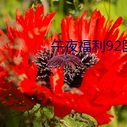 午夜福利92国语