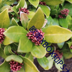 918博天堂·(中国)手机版客户端