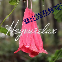 草比克在线观无码 （不拔一毛）