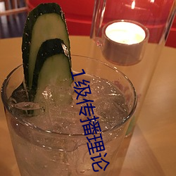 1级传播理论 （张脣植髭）