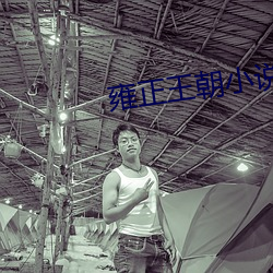 雍正王朝小说