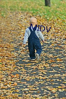 MIDV （袖标）