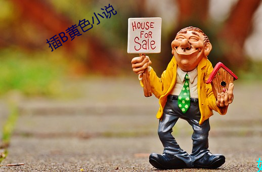 插B黄色小说