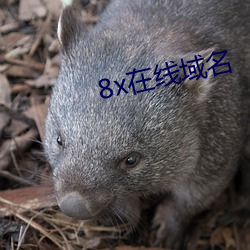 8x在线域名 （轻财好义）