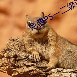 免費PS一二級調色大片