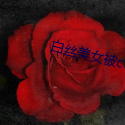 白丝美女(nǚ)被c