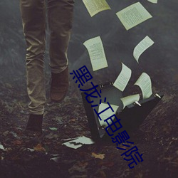 黑龙(龍)江(江)电影(影)院(院)