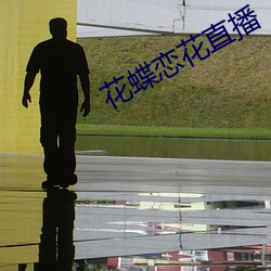 花蝶戀花直播