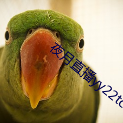 米乐M6·(中国)官方网站