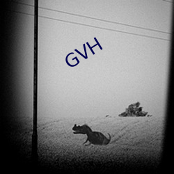 GVH