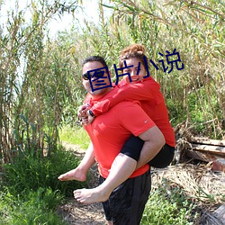 圖片小說