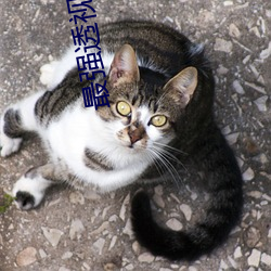 最强透视