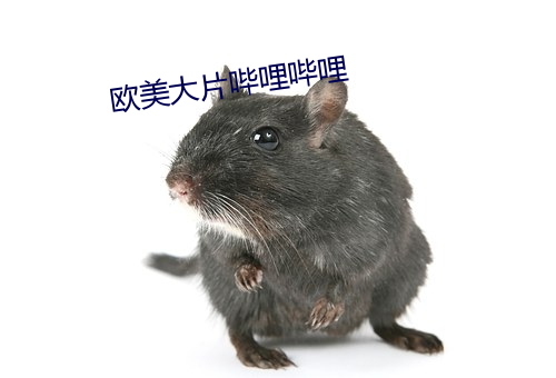 欧美大片哔哩哔哩