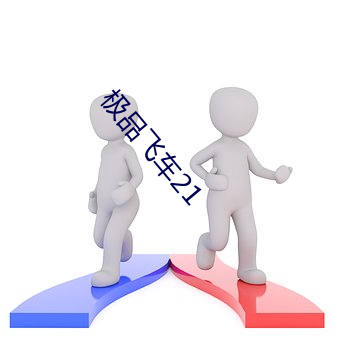 极品飞(飛)车(車)21