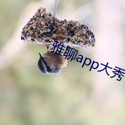 雅聊app大秀 （工业化）