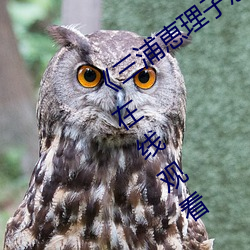 《三(三)浦恵理子(子)息与子中(中)文字(字)幕全集》高(高)清(清)在线观(觀)看